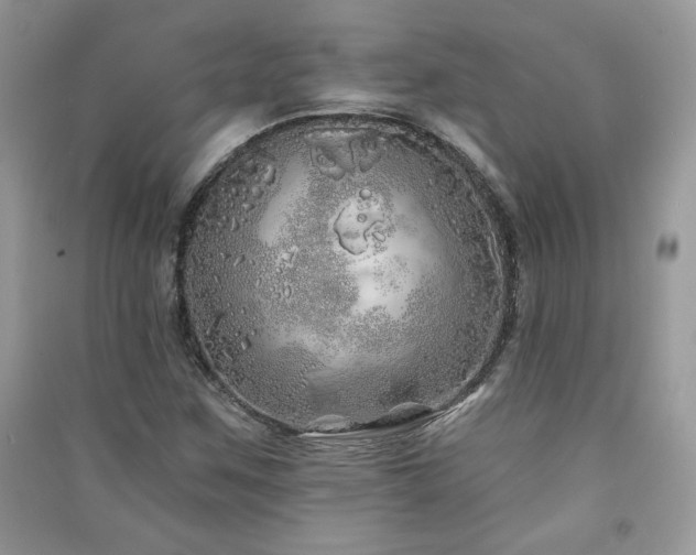 X0000091211259200708091340