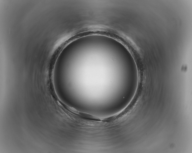 X0000091211261200708091340