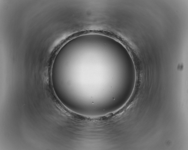X0000091211262200708091340