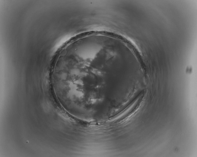 X0000091211263200708091340