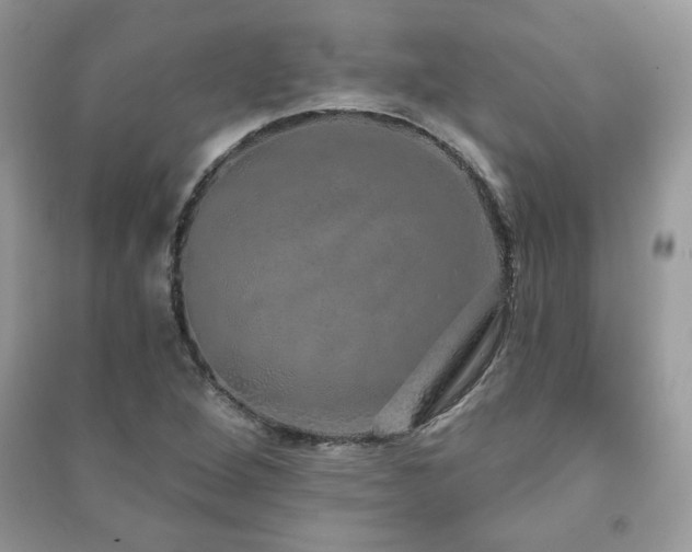 X0000091211264200708091340