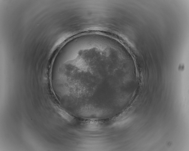 X0000091211266200708091340