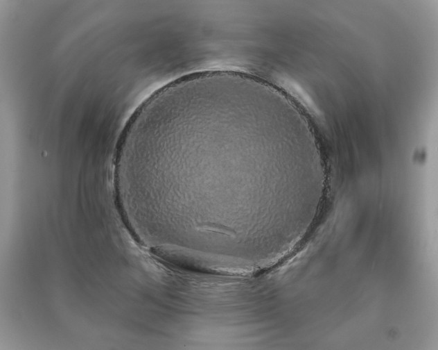 X0000091211268200708091340