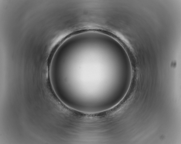 X0000091211269200708091340