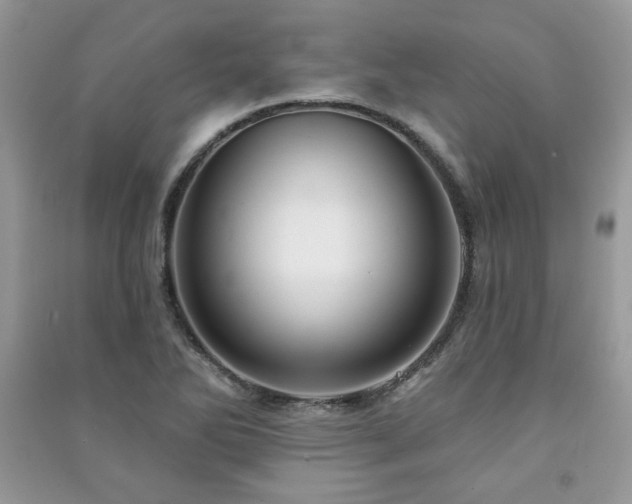 X0000091211270200708091340
