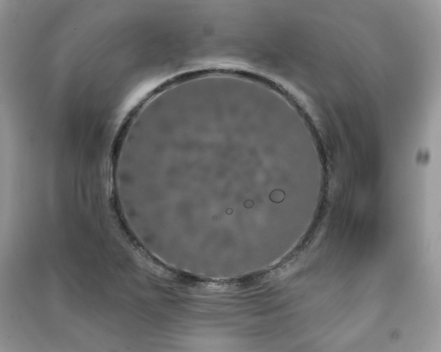 X0000091211271200708091340