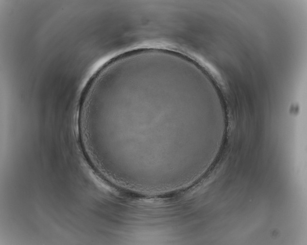 X0000091211272200708091340