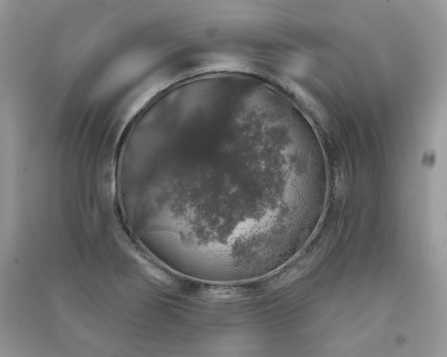 X0000091211274200708091340