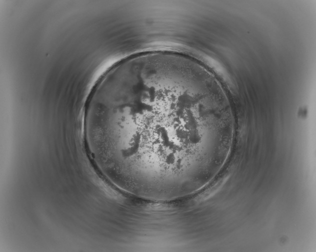 X0000091211275200708091340