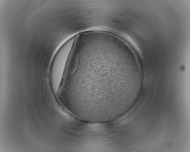 X0000091211276200708091340