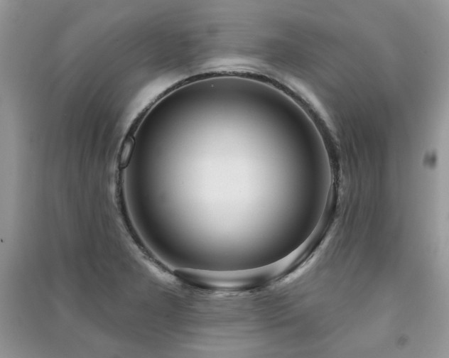 X0000091211277200708091340