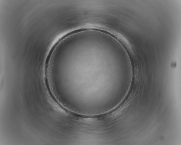 X0000091211280200708091340