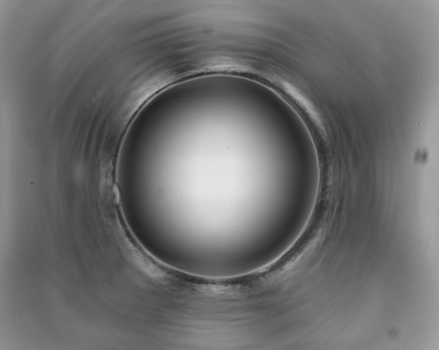 X0000091211281200708091340