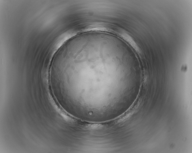 X0000091211282200708091340