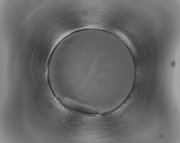 X0000091211284200708091340