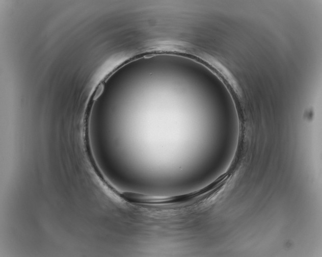 X0000091211285200708091340