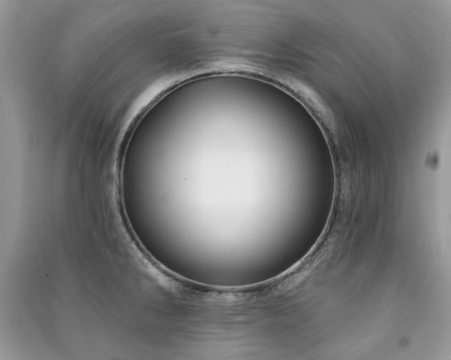 X0000091211286200708091340