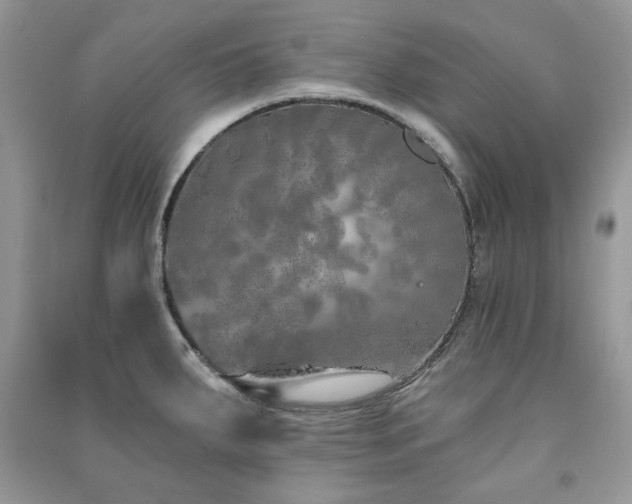 X0000091211287200708091340