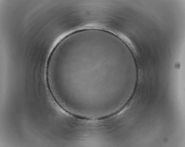 X0000091211288200708091340