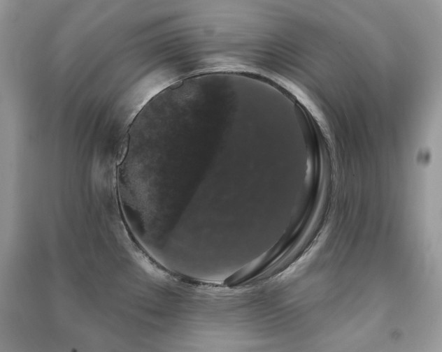 X0000091211289200708091340
