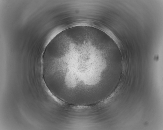 X0000091211290200708091340