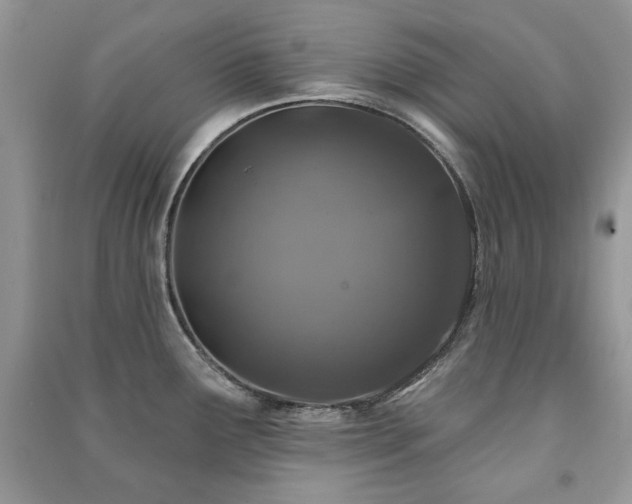 X0000091211291200708091340