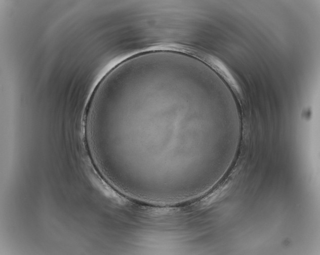 X0000091211292200708091340
