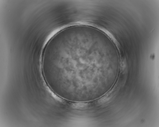 X0000091211294200708091340