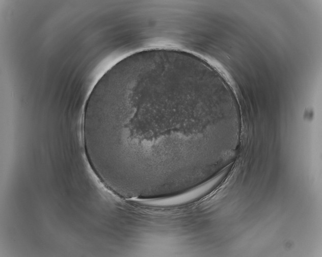 X0000091211295200708091340