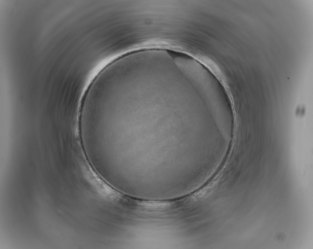 X0000091211296200708091340