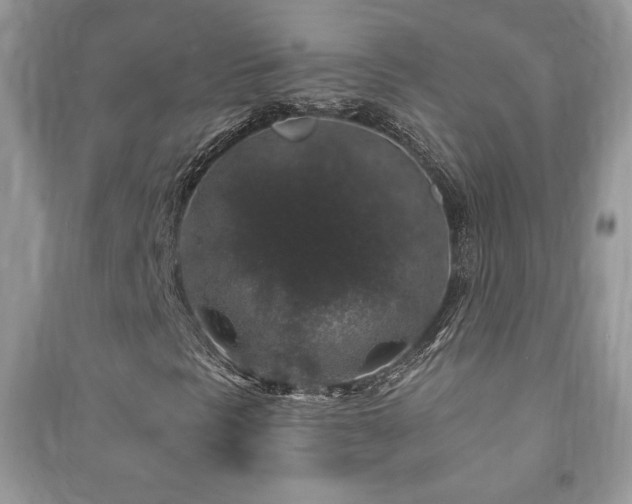 X0000091211297200708091339