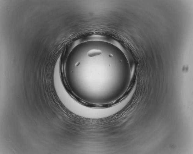 X0000091211298200708091339