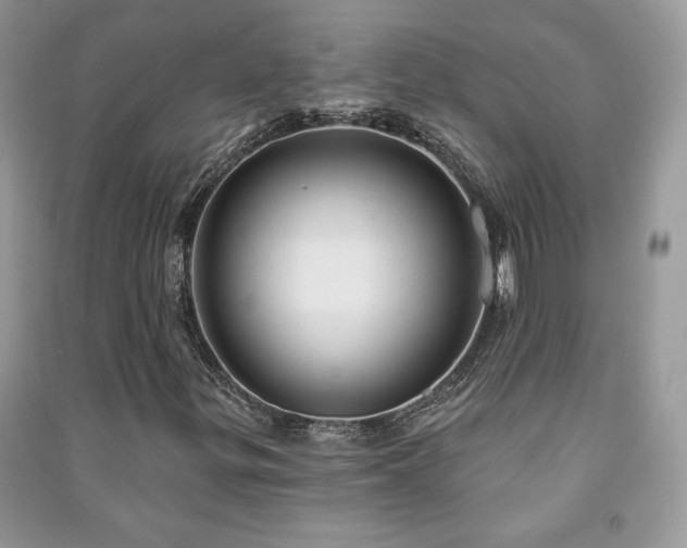 X0000091211299200708091339