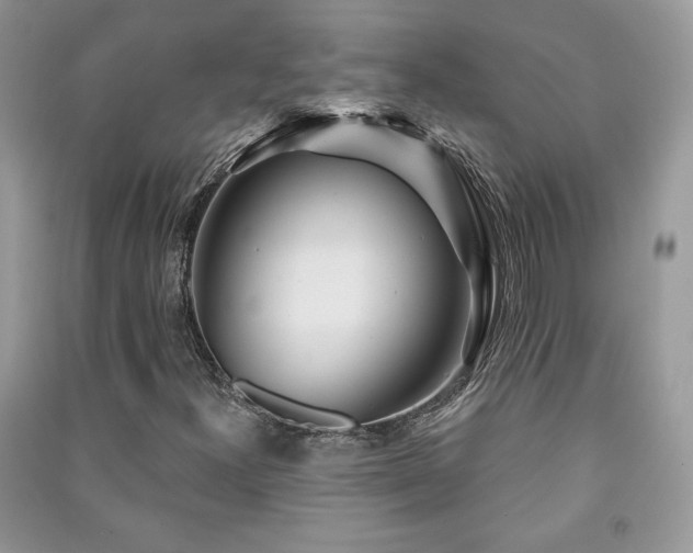 X0000091211300200708091339