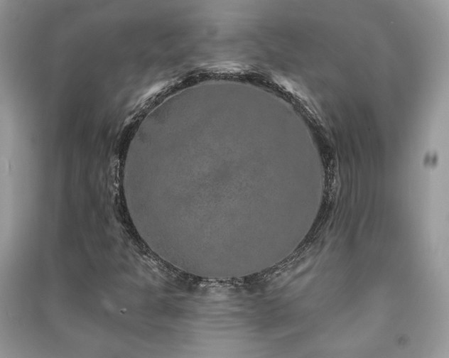 X0000091211301200708091339