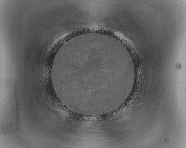 X0000091211302200708091339