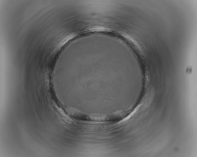 X0000091211305200708091339