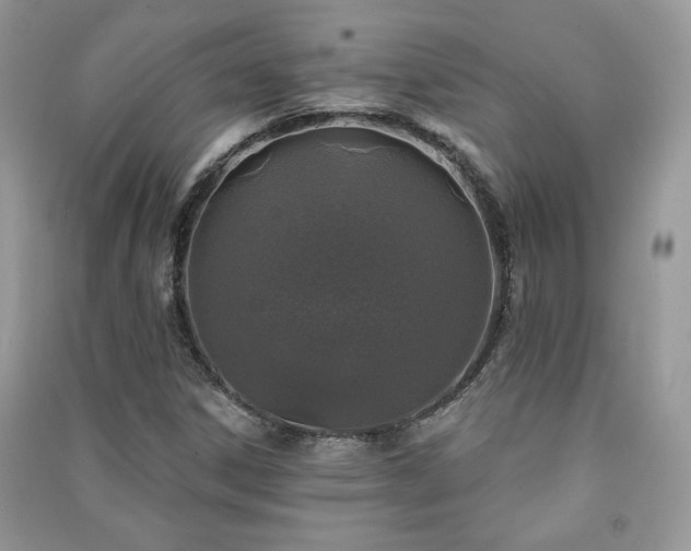 X0000091211306200708091339