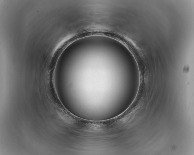 X0000091211309200708091339