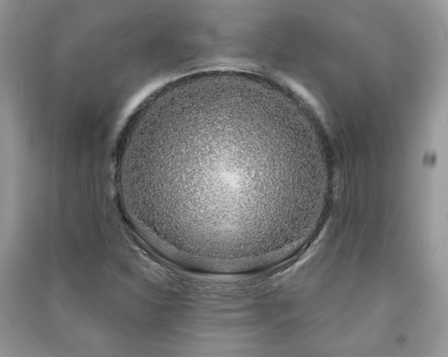X0000091211310200708091339