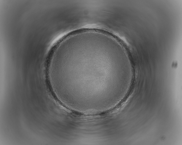 X0000091211311200708091339