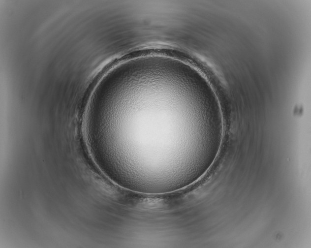 X0000091211313200708091339