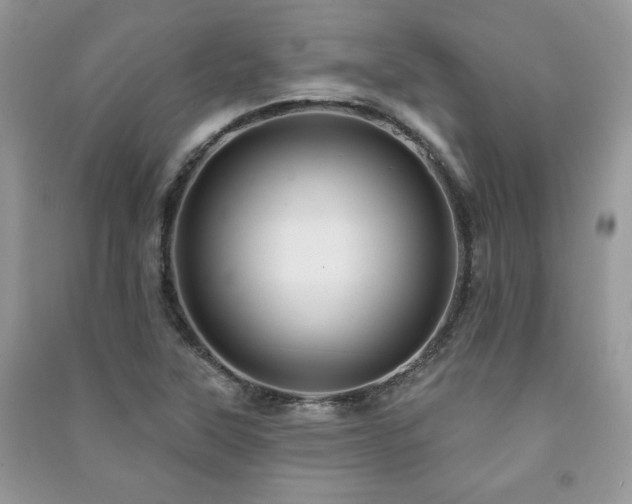 X0000091211315200708091339