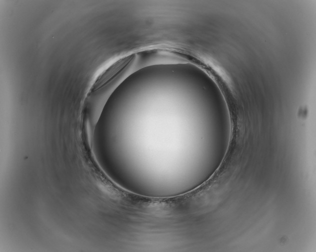 X0000091211316200708091339