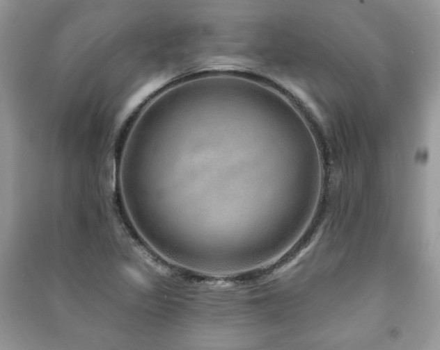 X0000091211317200708091339