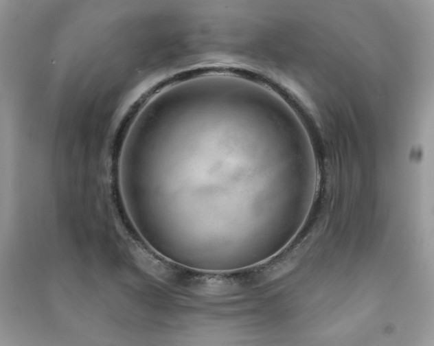 X0000091211318200708091339