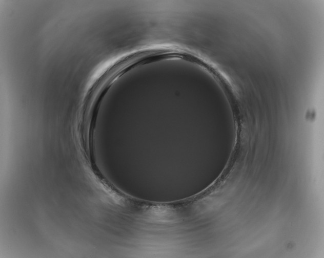 X0000091211319200708091339