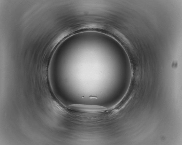 X0000091211321200708091339