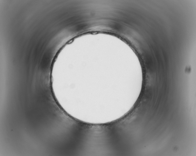 X0000091211322200708091339