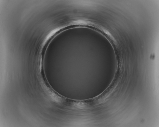 X0000091211323200708091339